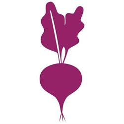 Dr Beetroot Canada Inc
