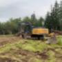land clearing land clearing