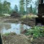 land clearing land clearing