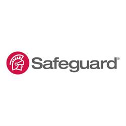 Safeguard Business Systems, Mike Gommerman