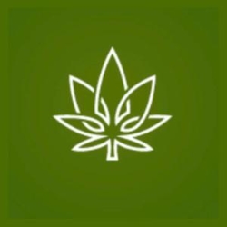 Cannabuzz Hamilton
