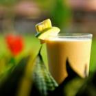 Herbalife Independent Distributor - Lily