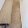 After 28 years, we have no problem taking of the more extreme carpet cleaning jobs After 28 years, we have no problem taking of the more extreme carpet cleaning jobs