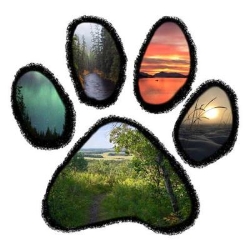 Grasslands Canine Development Centre