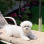 dog groomer
https://rainingcatsanddogsmobilegroominginc.net/ dog groomer
https://rainingcatsanddogsmobilegroominginc.net/