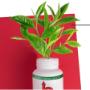 Better High - Reduce THC Tolerance Better High - Reduce THC Tolerance