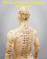 Acupuncture-meridians