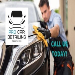Abbotsford Car Detailing Profs