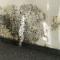 Mold-Removal