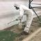 Mould-Remediation