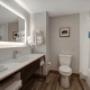 Guest room bath Guest room bath
