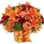 Nothing says fall quite like our Autumn Celebration Basket. Filled with orange lilies, green trick dianthus, orange carnations, fall pompons and a seasonal pumpkin pic. Nothing says fall quite like our Autumn Celebration Basket. Filled with orange lilies, green trick dianthus, orange carnations, fall pompons and a seasonal pumpkin pic.