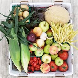 Little Bee Farmers Market