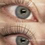 Give your natural lashes lift and volume without the need for extensions - Iconbrows - Eyebrow Perfection | Professional Microblading Give your natural lashes lift and volume without the need for extensions - Iconbrows - Eyebrow Perfection | Professional Microblading