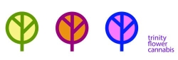 Trinity Flower