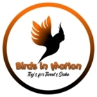 Birds in Motion
