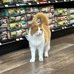 Pet Valu