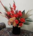 Orange Sherbet Box Roses