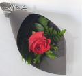 Single Rose