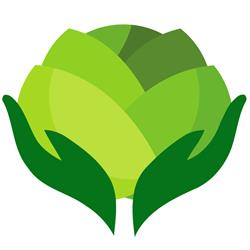 Cabbagetown Massage Therapy