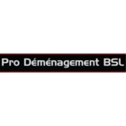 Pro Déménagement BSL