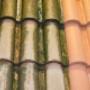roof washing
https://northstarpowerwashing.ca/ roof washing
https://northstarpowerwashing.ca/