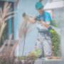 commercial pressure washing
https://cleanshine.com/en/ commercial pressure washing
https://cleanshine.com/en/