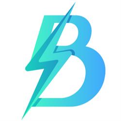 B Line Electric Ltd.