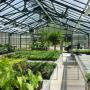 UBC Greenhouse UBC Greenhouse