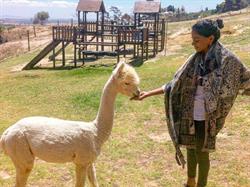 Jineya Naicker Clinical Counselling - Through the Woods Wellness
