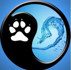 K9 Rehab Wellness Center