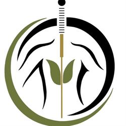 Acupuncture Nancy Aubin
