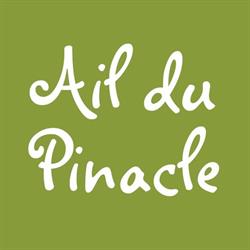 Ail du Pinacle
