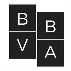 Black Business Ventures Association (BBVA)