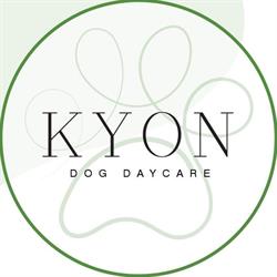 KYON Dog Daycare