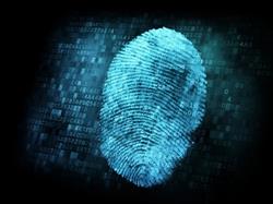 10-8 Investigative Services