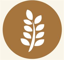 The Source Bulk Foods Leslieville