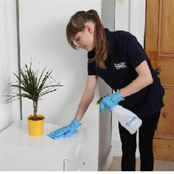Sophanni Cleaning Services