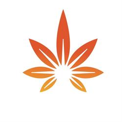 Bimor Cannabis
