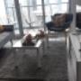 Toronto Shine Cleaning Toronto Shine Cleaning