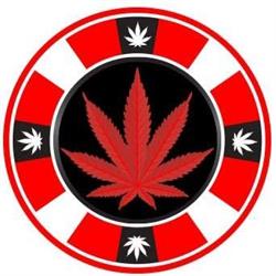 Jackpot Cannabis