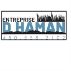Entreprise D. Haman inc.