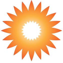 Spark Rehabilitation Services