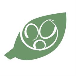 Ktunaxa Kinbasket Child & Family Service Society