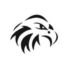 Black Hawk Consulting
