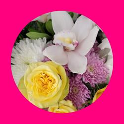 Funky Petals Airdrie