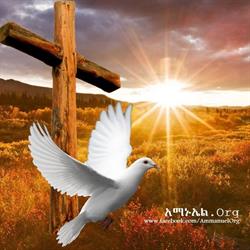 Ammanuel Montreal Evangelical Church (Amec)