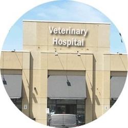 Dr. Kafai Veterinary Hospital
