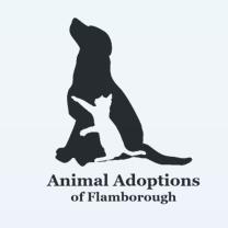 Animal Adoptions Of Flamborough