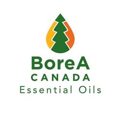 BoreA Canada